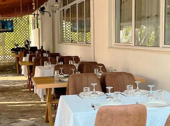 キャンプ場 Blackstone.shkodra